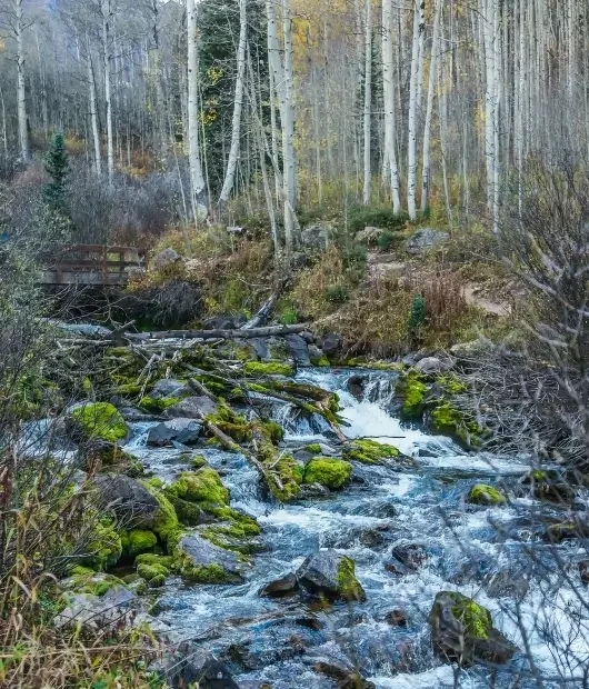 key stone management